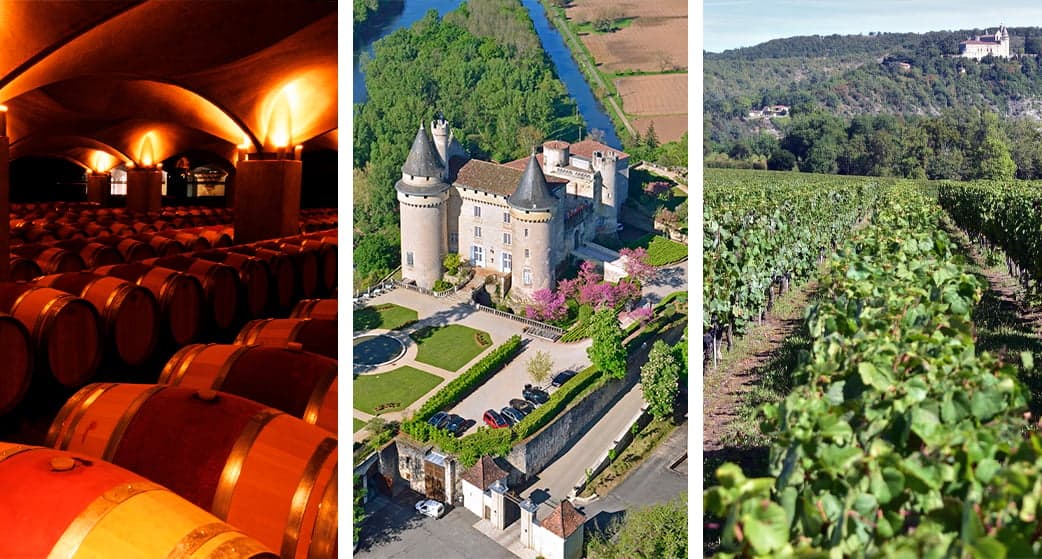 Le chenin est de plus en plus tendance... Découvrez notre sélection.