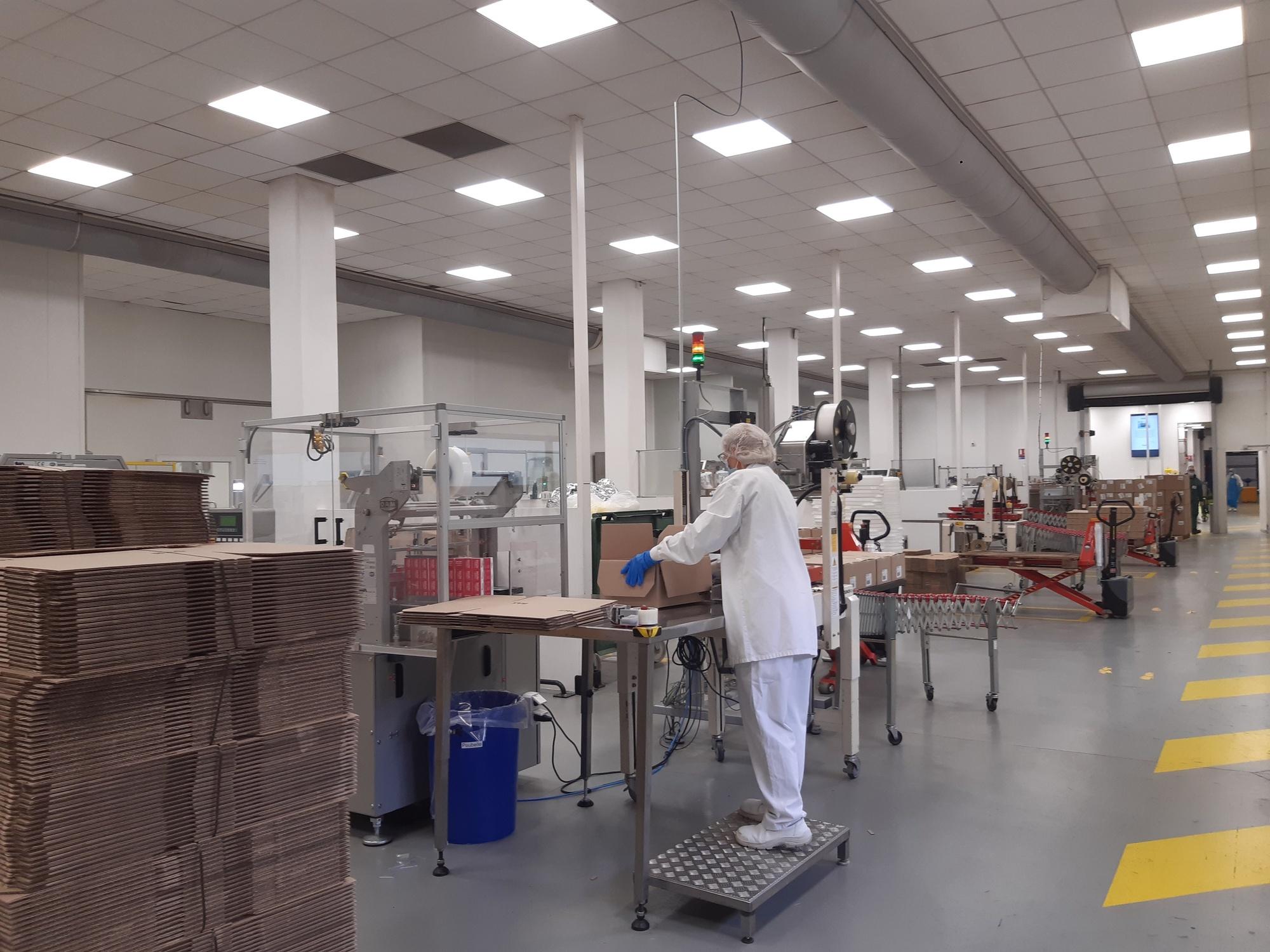 Pour faire tourner son usine et faire face à une envolée des prix de l'électricité, Havea prévoit de décarbonner son énergie.