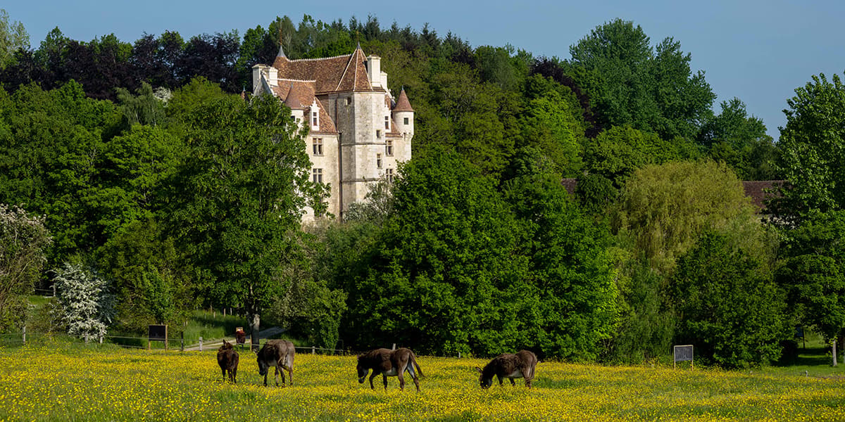 La maison du parc du Perche et son manoir du XVe (à droite).