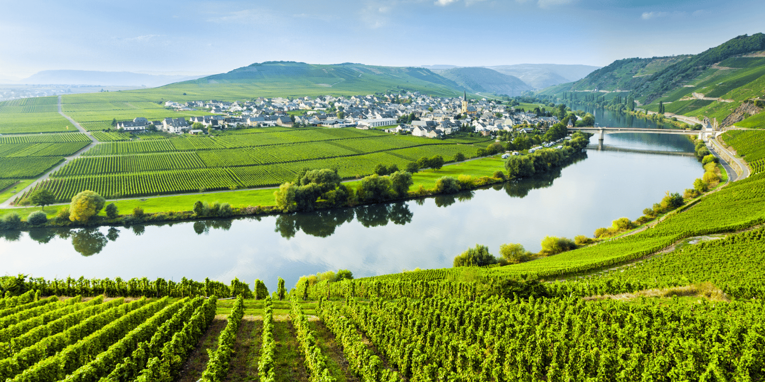 Grand Est, Alsace, agriculture