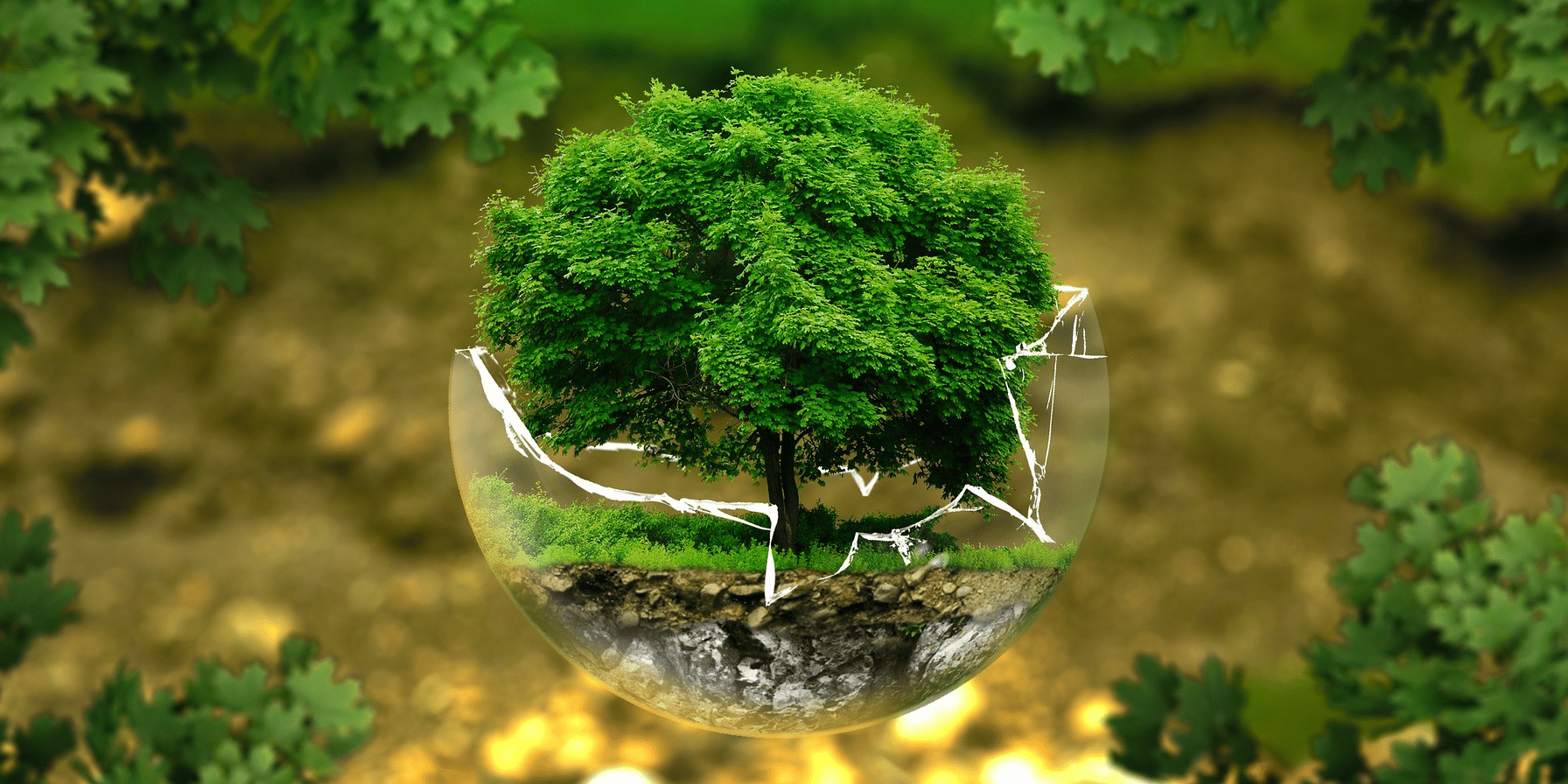 Transition écologique, climat, énergie, environnement
