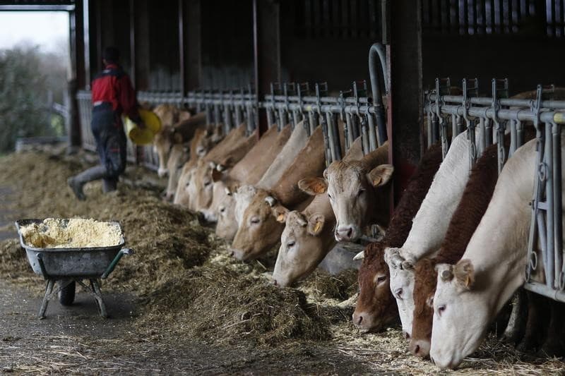 Reunion a bruxelles des ministres de l'agriculture de l'ue