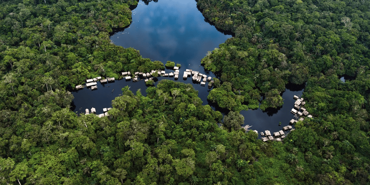 bassin congo