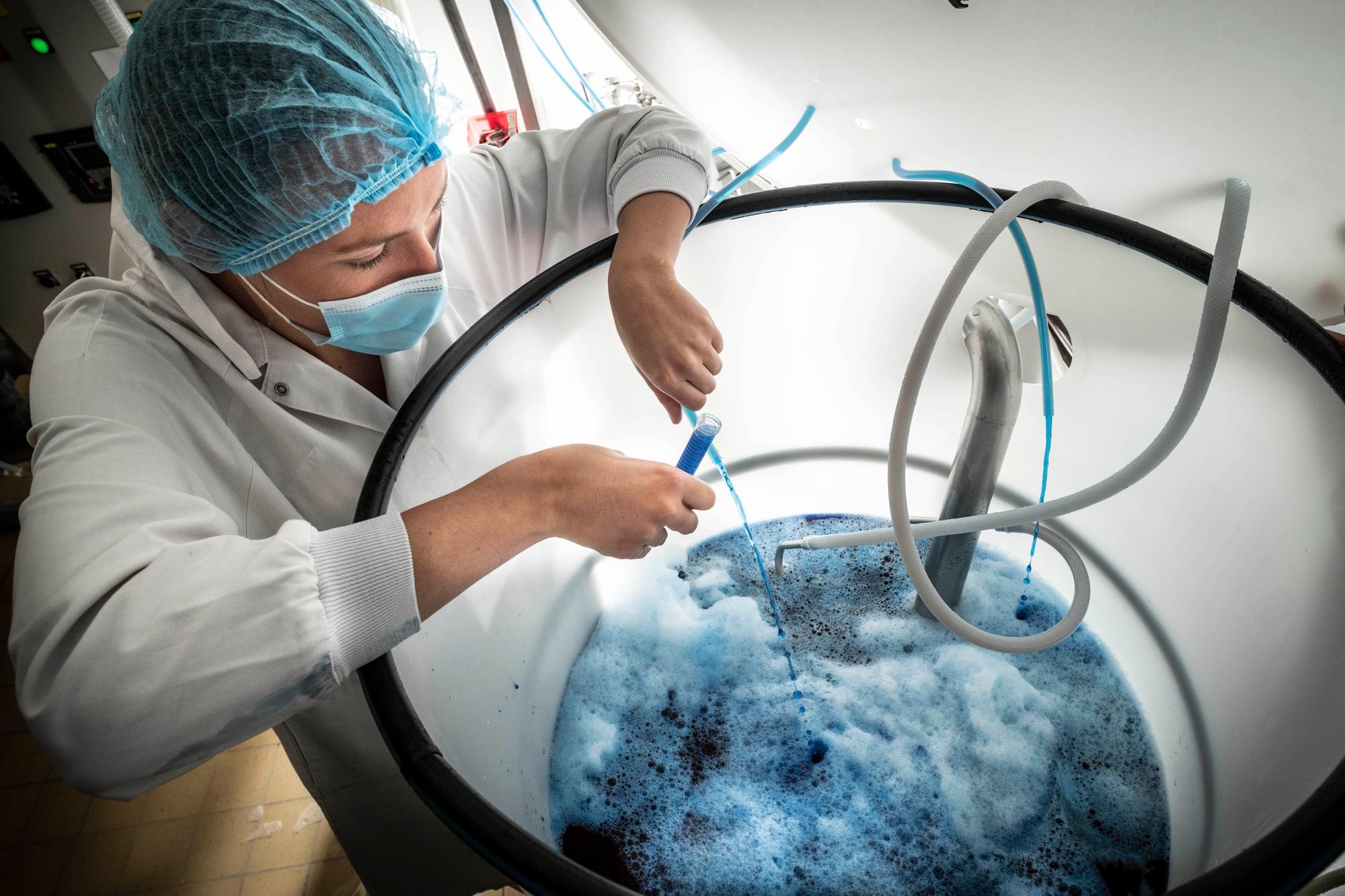 Le processus d'extraction de la biomasse de spiruline pour récupérer la phycocyanine, qui est une molécule bioactive, fait intervenir plusieurs étapes, dont la filtration.