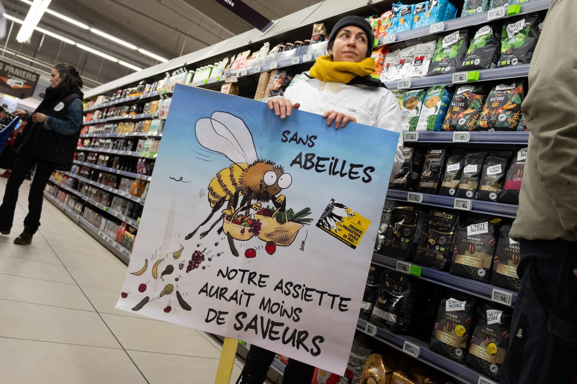 Entre 5 et 12% de la valeur totale des productions végétales françaises destinées à l'alimentation humaine dépendent des pollinisateurs.