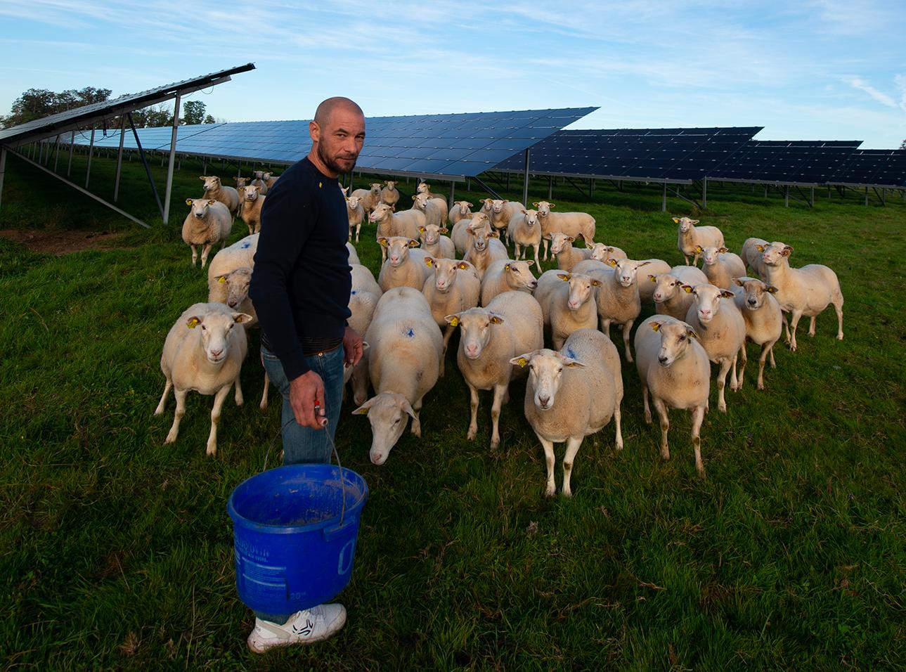 Emmanuel Mortelmans, éleveur de brebis à Verneuil, dans la Nièvre