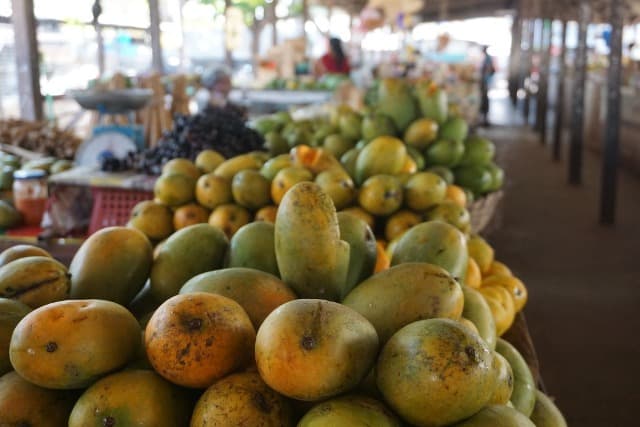 La région du Grand Bassam est l’une des principales zones de culture de la mangue et de l’ananas en Côte d’Ivoire.