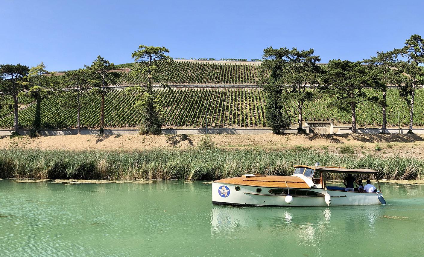 Tourisme viticole sur la Marne, à Mareuil-sur-Ay.