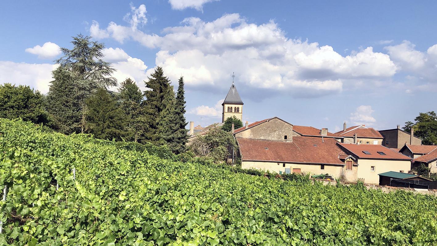 Le village de Vaux, dans le vignoble mosellan.