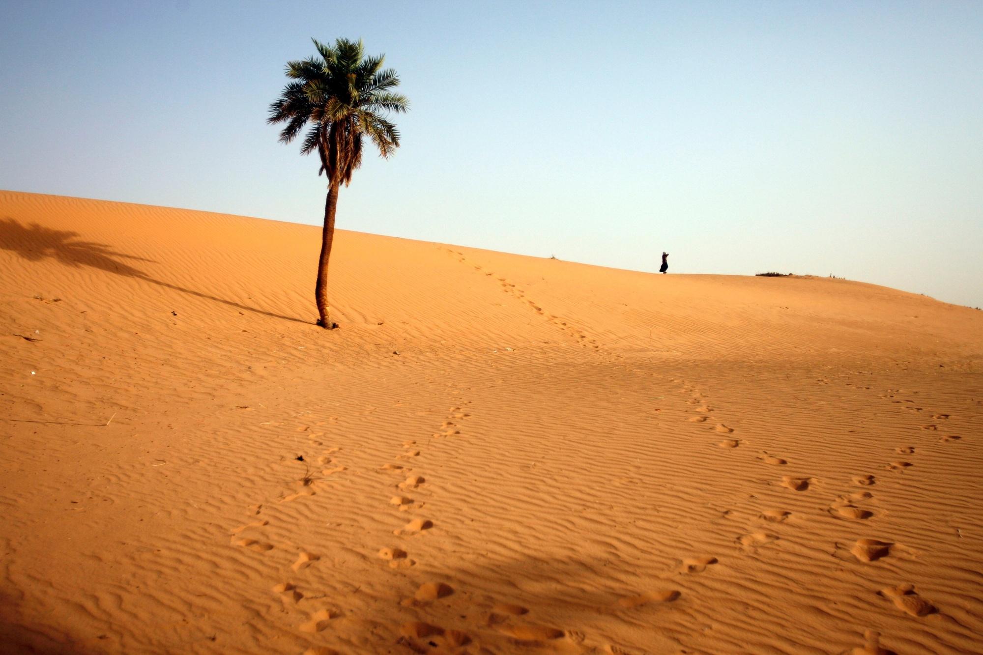 Ancienne colonie espagnole, le Sahara occidental est considéré comme un « territoire non autonome » par l'ONU.