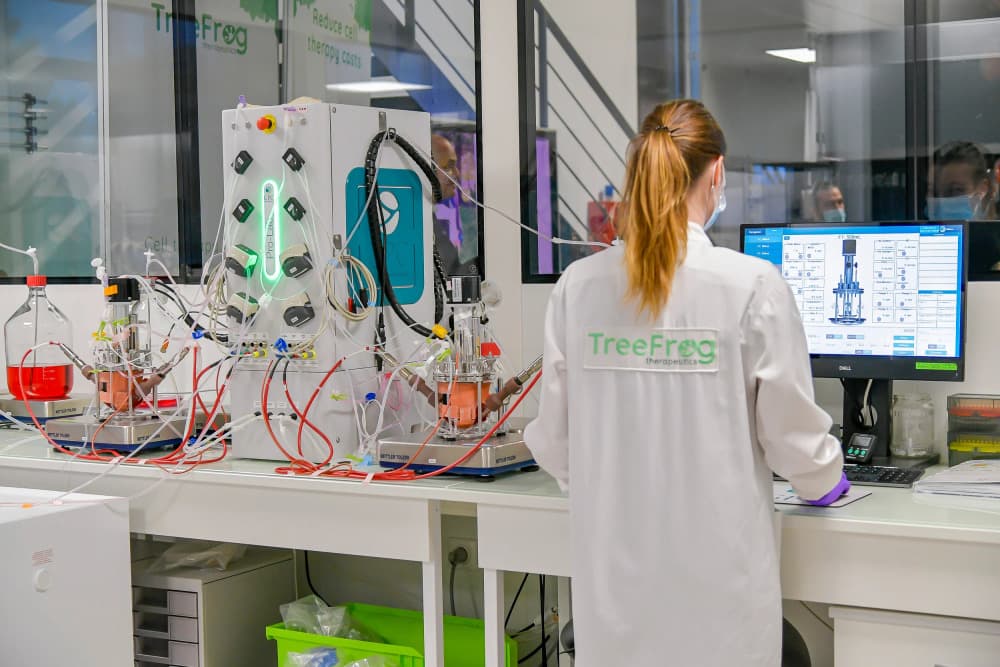 Développant des thérapies cellulaires innovantes, la start-up bordelaise Treefrog Therapeutics supprime 35 postes.