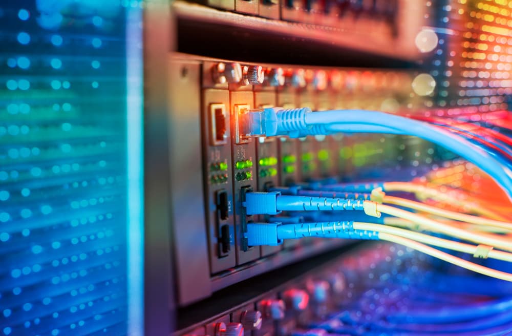 Des câbles en fibre optique connectés à des ports optiques.