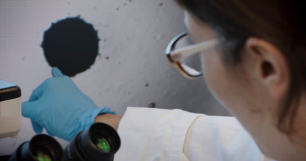 En permettant de générer, à partir d’un simple échantillon de sang, des avatars de foie personnalisés, PredictCan Biotechnologies veut simuler la réaction d’un patient à un médicament avant même les essais cliniques, coûteux et risqués.
