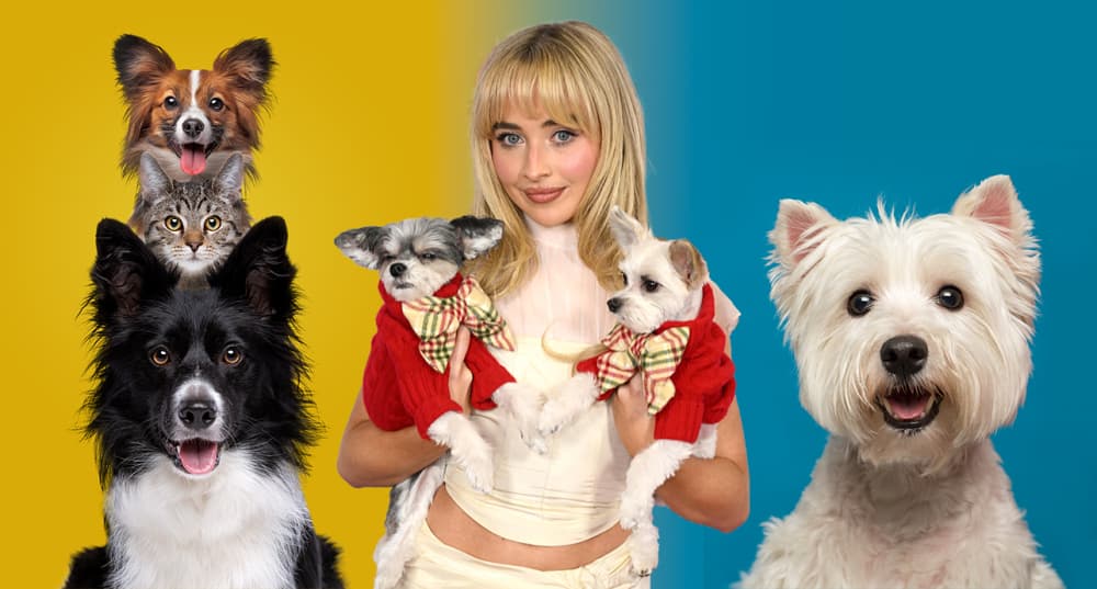 Sabrina Carpenter et ses deux yorkshire Goodwin et Louie.