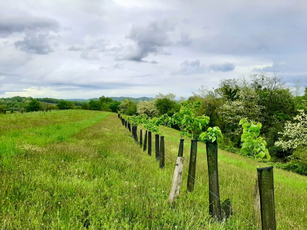 Avec le soutien du fonds Mirova, la start-up ReGeneration ambitionne d’accompagner 3 400 agriculteurs en France et en Belgique pour déployer des pratiques d’agriculture régénératrice.