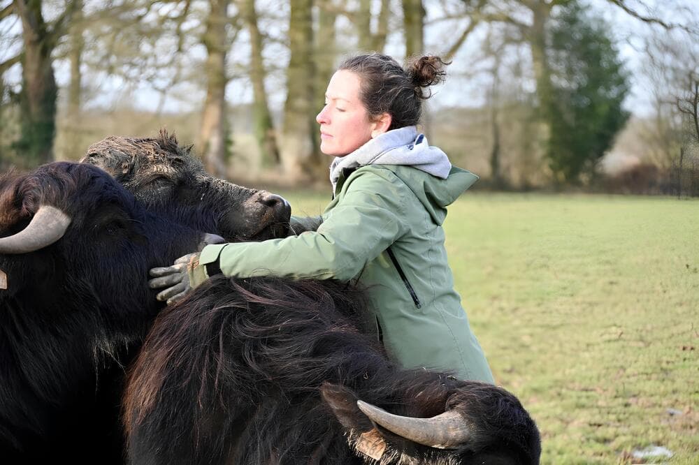 Après 10 ans de carrière en tant que vétérinaire, Suzanna a décidé de s’installer en élevage de bufflonnes pour confectionner de la mozzarella, de la tomme et du yaourt. Sa Ferme Ty Bufala (49 hectares) est située près de Vitré (Ille-et-Vilaine).