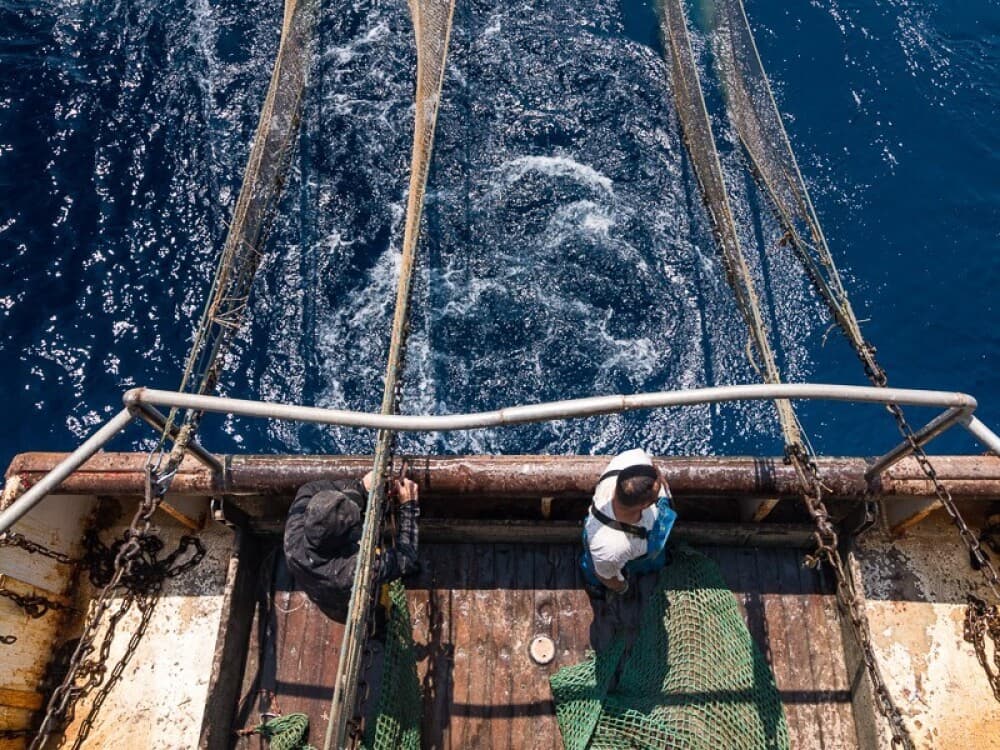 Pour diversifier les débouchés économiques, des pêcheurs ont fédéré dans une coopérative pour vendre leurs invendus transformés.