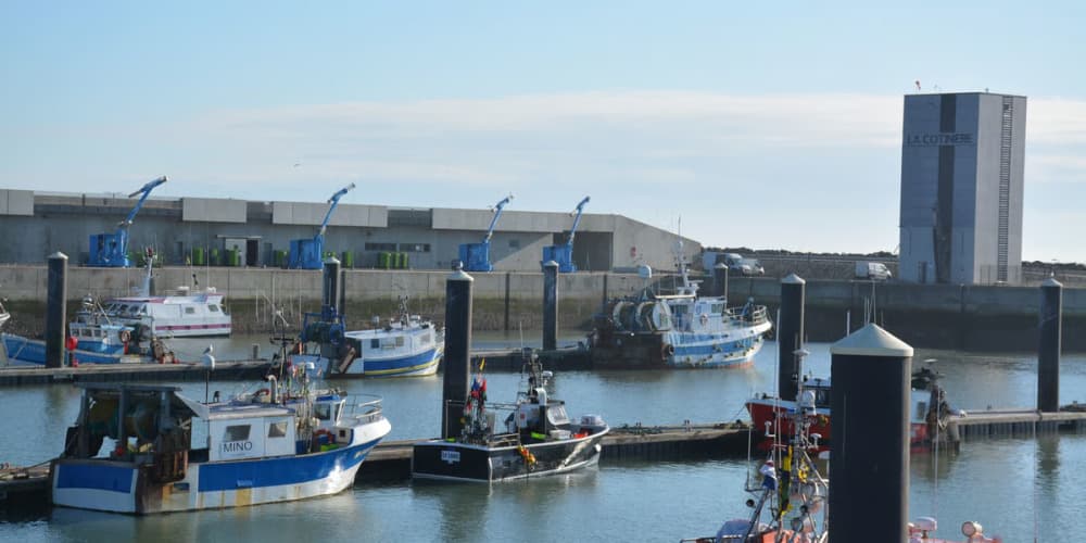 Sur l'île d'Oléron, une trentaine de bateaux du port de La Cotinière sont restés à quai début 2025, conformément aux restrictions de pêche pour protéger les cétacés.