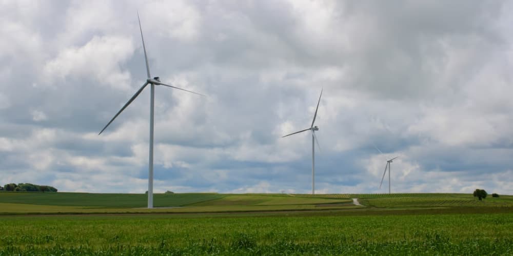 Un parc éolien d'EDF Power Solutions au sud de la Charente.