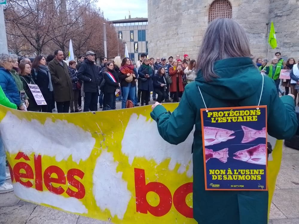 Des manifestants rassemblés à Bordeaux lundi 15 décembre pour s'opposer au projet de Pure Salmon en Gironde.