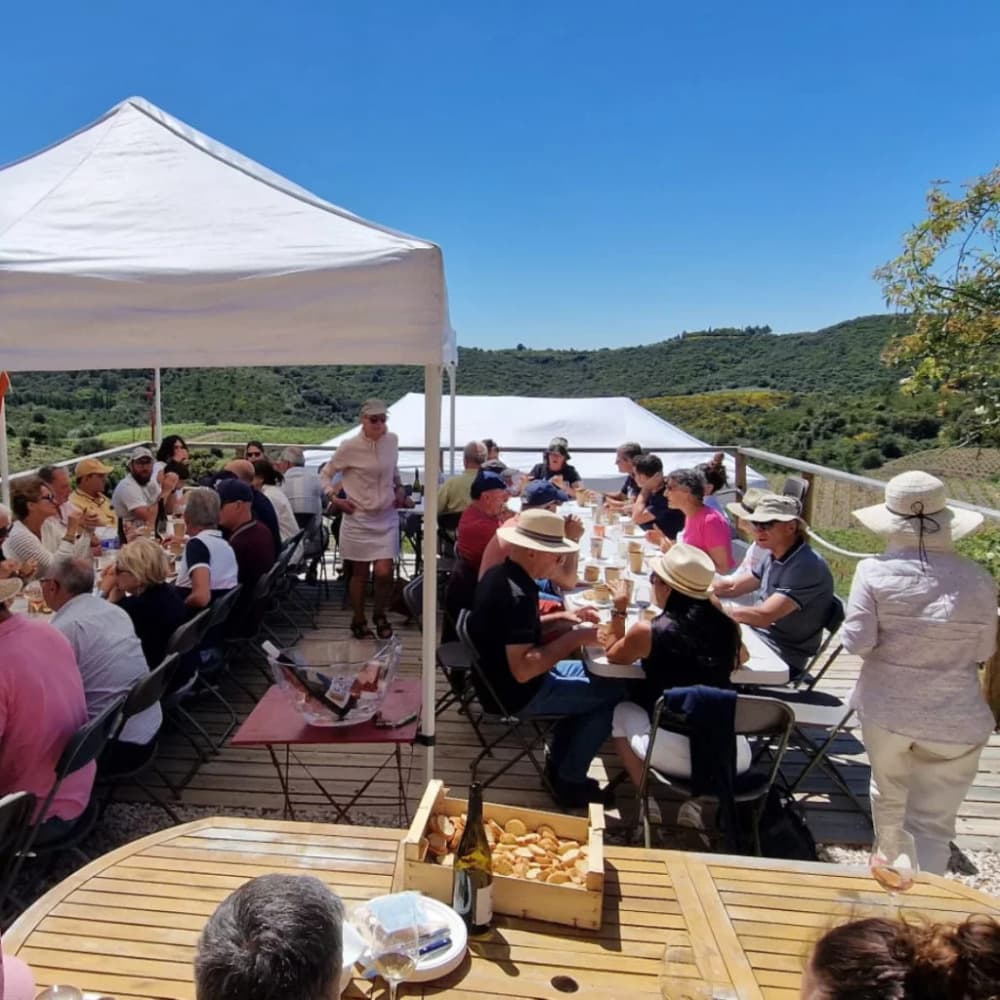Assemblée générale du domaine de Lanye Barrac dans l’Hérault accompagné par Terra Hominis