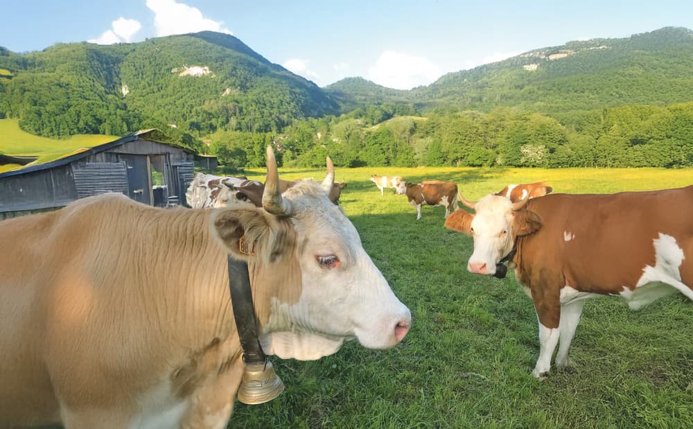 « L’agriculture biologique repose sur l’agronomie, l’autonomie et la sobriété »,