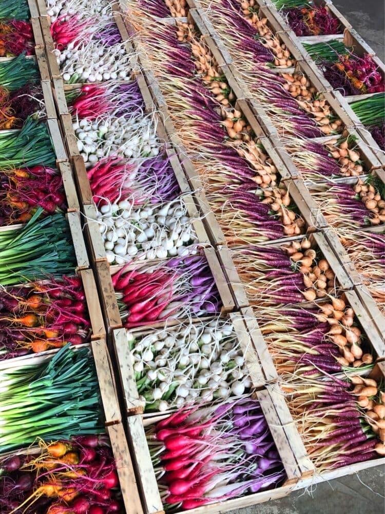 Parmi la dizaine d’exploitations à vendre en Centre-Val de Loire sur la plateforme Eloi.eu, la ferme de mini-légumes d’Éric Roy située à Saint-Genouph en Indre-et-Loire a trouvé un repreneur en seulement quelques semaines.