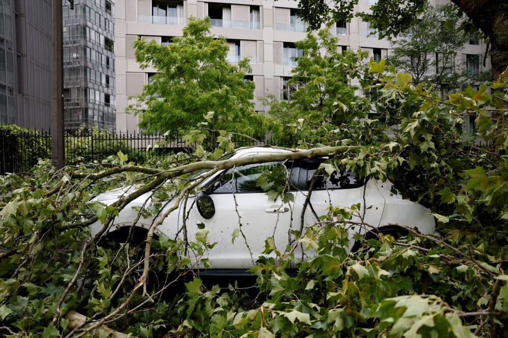 Le coût des sinistres Cat-Nat s'élève à près de 1,7 milliard d'euros en 2024.