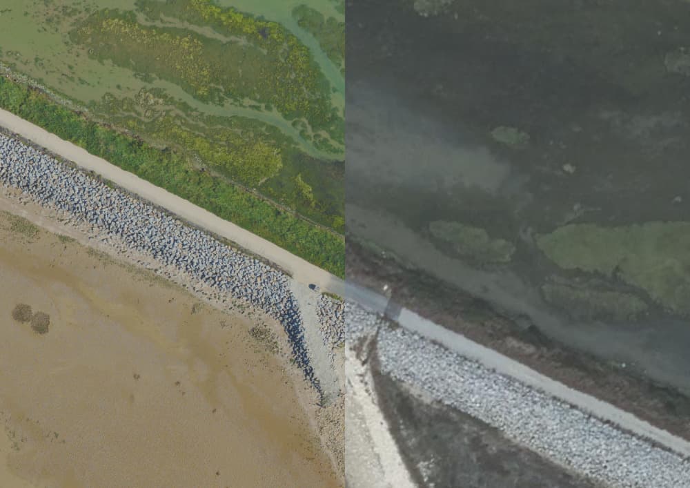 Vue aérienne de la baie d'Yves en Charente-Maritime, avec une précision de cinq centimètres sur l'image de gauche.