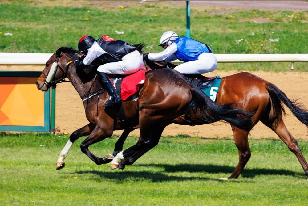 Week-end hippique Paris 2026 : Quinté+ à Auteuil et Groupe I à Vincennes.