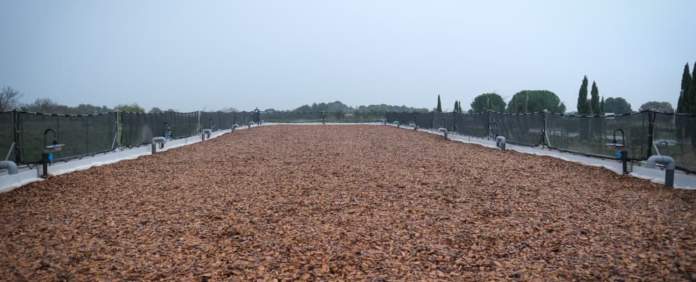 Dans un bassin légèrement surélevé, une épaisse couche de copeaux de bois et des vers de terre, véritables auxiliaires du traitement de l’eau : ce dispositif vient d’être mis en place au domaine viticole Lafage, dans les Pyrénées-Orientales.