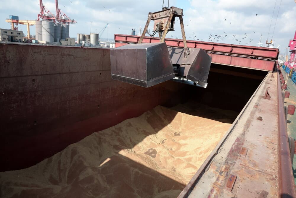 Wheat is unloaded from a Russian-flagged ship, amid a wheat shortage in Syria caused by a drought, in the port of Tartous, Syria, August 17, 2025. REUTERS/Mahmoud Hassano - Russian-flagged ship delivers wheat to drought-stricken Syria, in Tartous -...