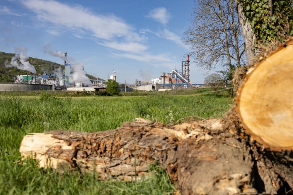 L'usine Fibre Excellence de Saint-Gaudens (Haute-Garonne) est l'un des deux sites avec celui de tarascon (Bouches-du-Rhône).