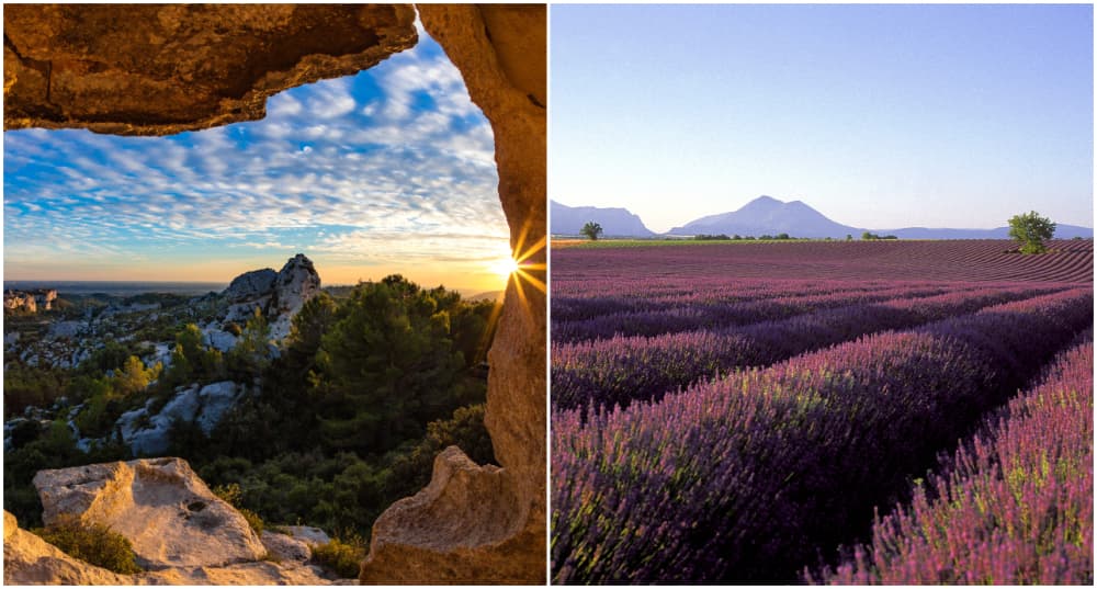 Entre le parc naturel régional des Alpilles (Les Baux-de-Provence) et le plateau de Sault (Vaucluse), pour admirer les champs de lavande : quelle destination choisir ?