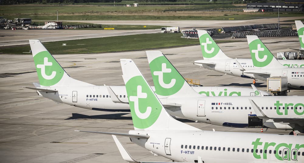 Un avion de la compagnie Transavia à l'aéroport de Paris-Orly, le 7 août 2025.