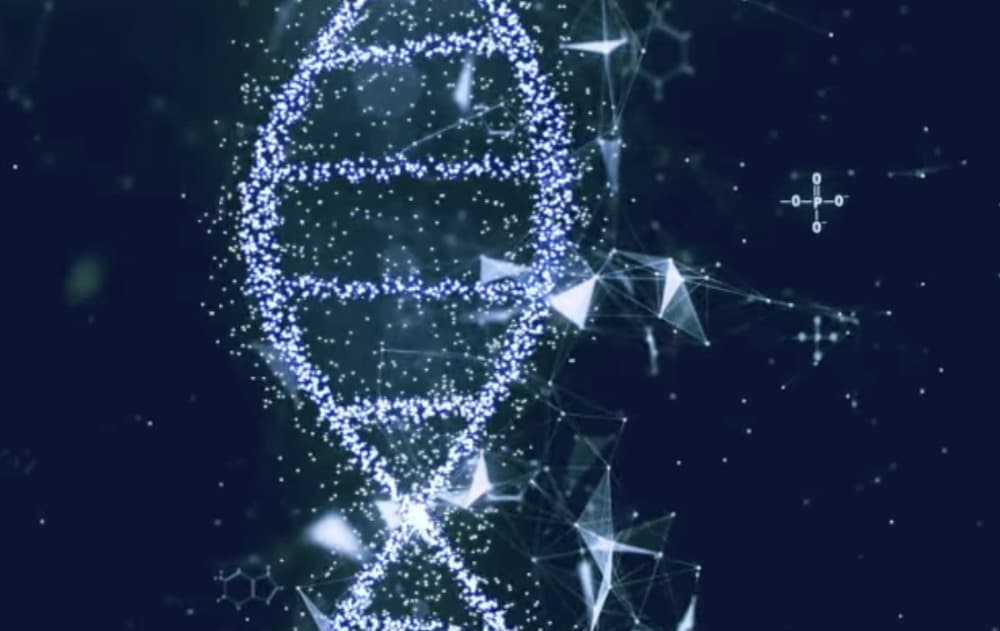 PearCode, spin-off du laboratoire de recherche Informatique, Signaux et Systèmes de Sophia Antipolis (I3S), vient de mettre sur le marché une première solution de service d'archivage sur ADN synthétique