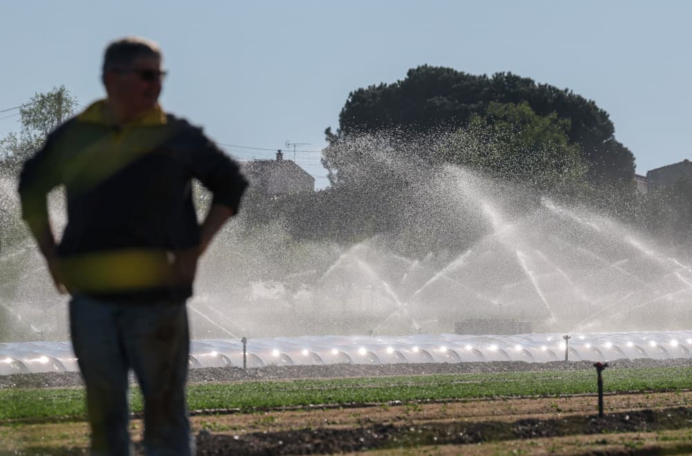 L’arrosage d’un champ par un système d’irrigation à Divatte-sur-Loire, près de Nantes, avril 2026.