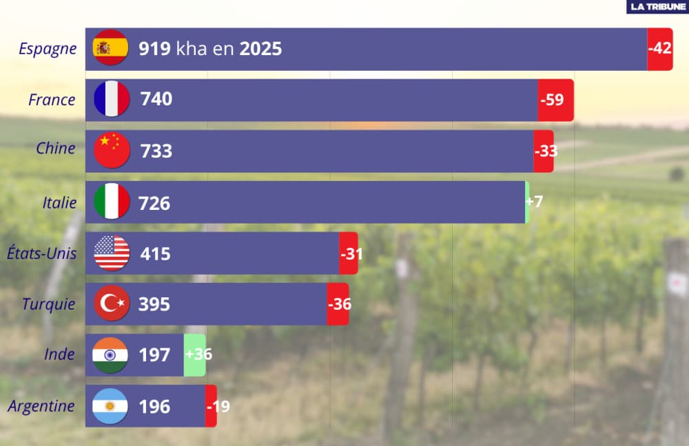 Hormis l'Inde et l'Italie, les grands pays viticoles réduisent tendanciellement leurs surfaces depuis 2020.