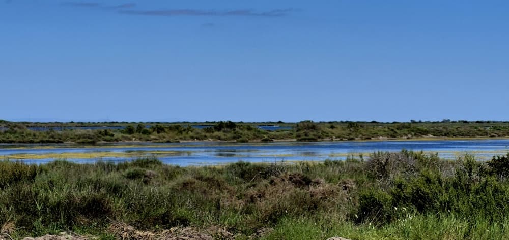 Lancée en 2023, l’opération Mission Nature a soutenu 64 projets de restauration écologique en France métropolitaine et outre-mer, soit un financement de 22 millions d’euros.