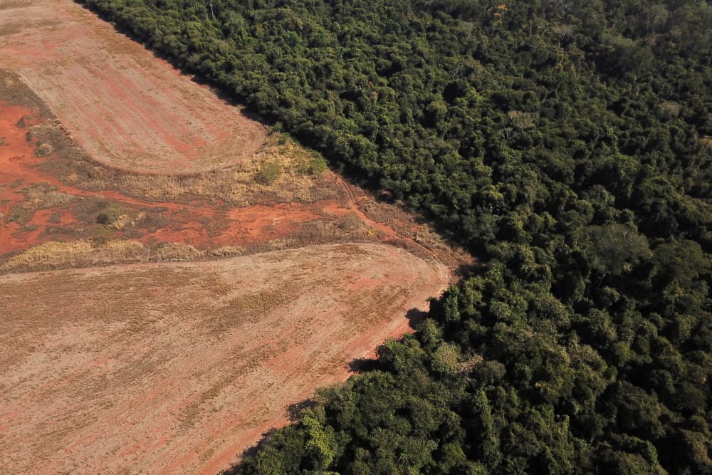 Vue aérienne de la déforestation près d'une forêt à la frontière entre l'Amazonie et le Cerrado, au Brésil, le 28 juillet 2021.