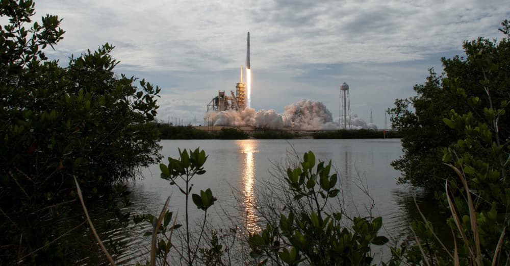 SpaceX est un animal à part. À mi-chemin entre un mastodonte de l'aérospatiale et un pionnier de l'intelligence artificielle.