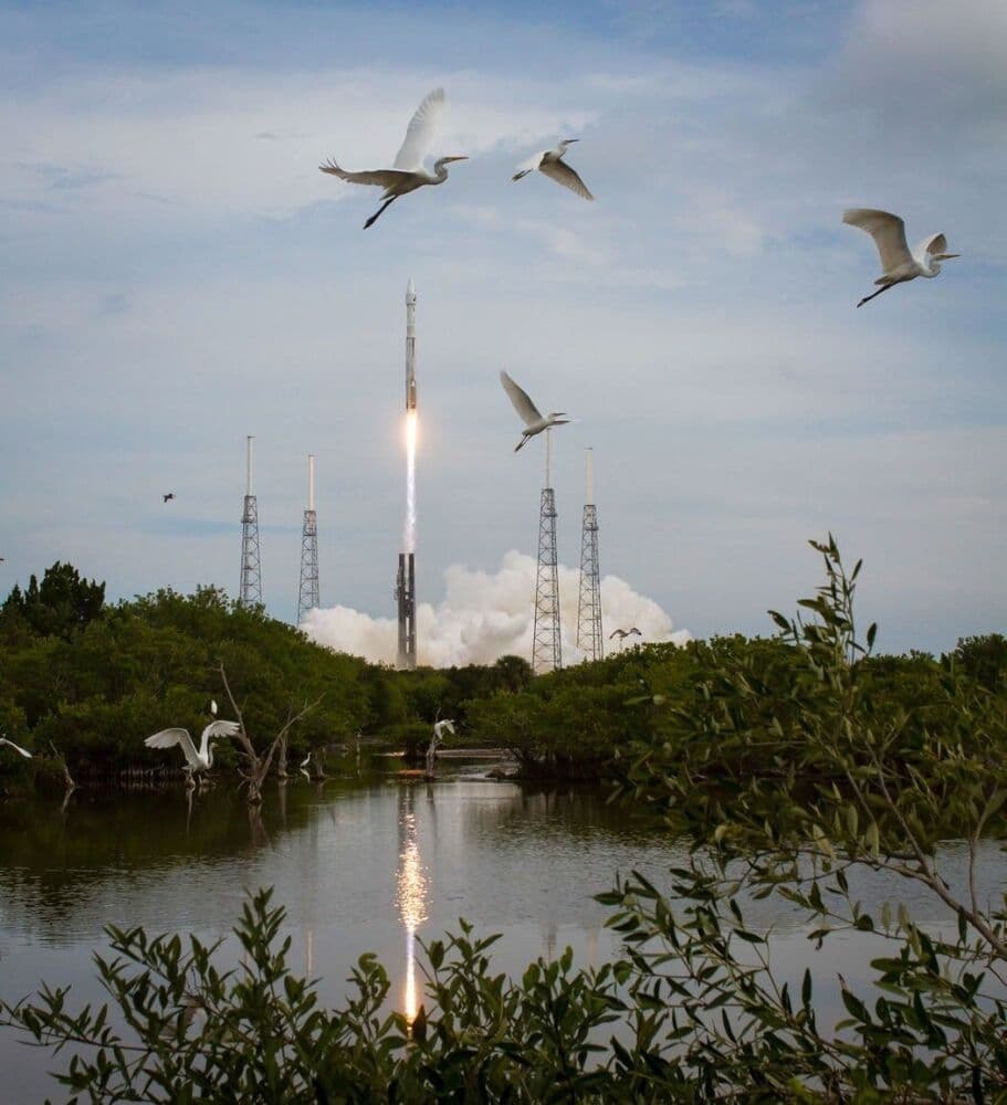 Décollage d’un lanceur Falcon 9 à proximité du Merritt Island National Wildlife Refuge.