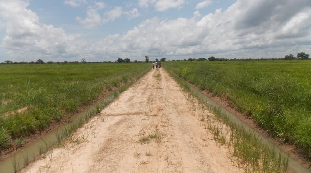 L’initiative prévoit la réhabilitation et l’entretien de plus de 1 000 km de routes rurales dans plusieurs régions agricoles clés.