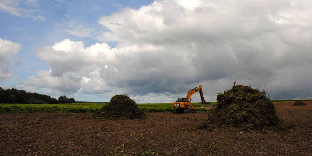 L’arrachage des vignes qui frappe le vignoble bordelais gagne aussi le Médoc.