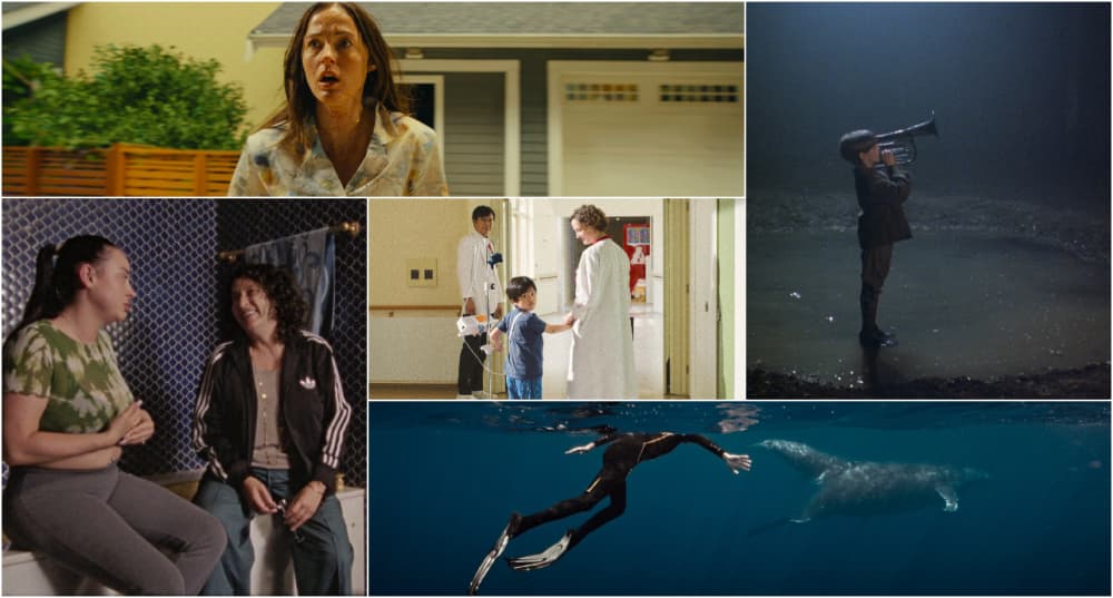 Les films et séries de la semaine : L'Illusion, Shana, Backrooms, La Baleine et le Musicien et War Requiem.