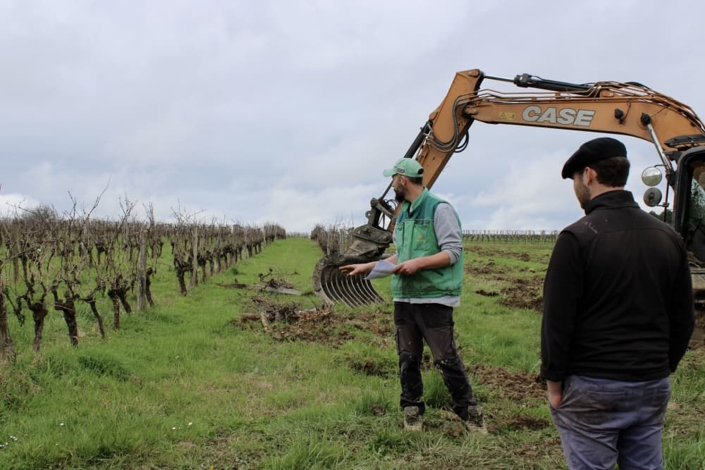 En Gironde, l'arrachage des vignes a débuté en 2024.