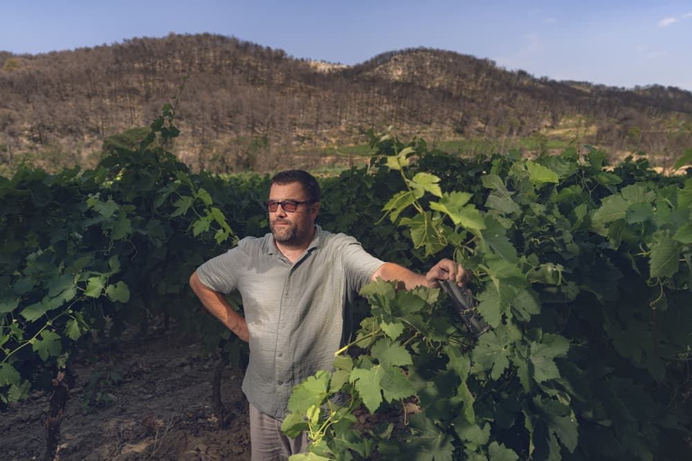 Laurent Linière, viticulteur au domaine de Montjoie, dans ses vignes à Saint-Laurent-de-la-Cabrerisse, dans le sud-ouest de la France, le 25 juin 2026.