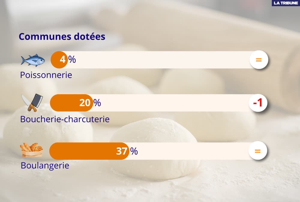 Alors que le nombre d'entreprises artisanales a augmenté dans toutes les activités, le secteur de l'alimentation stagne (plus d'infos plus bas).