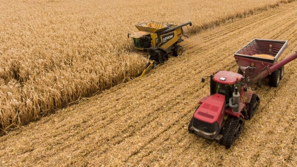La stratégie prévoit dans un premier temps la mise en exploitation de 4 500 ha destinés à produire environ 9 000 t de semences certifiées, qui serviront à soutenir une production commerciale de 180 000 t de blé.