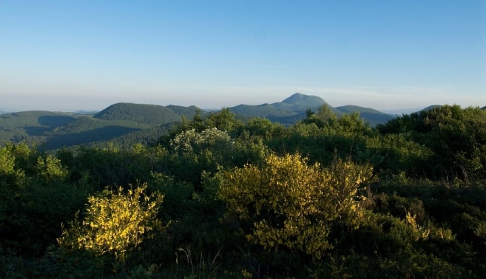 L'impluvium de Volvic, situé au pied de la chaîne des Puys-faille de Limagne et vaste de 38 km2, devra faire l'object d'une étude d'impact.